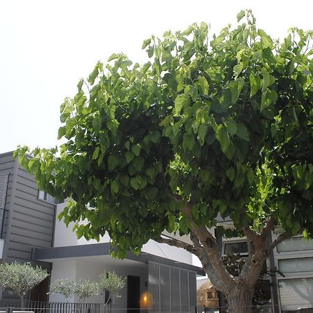 Agnanti Apartments Argaka Luaran gambar