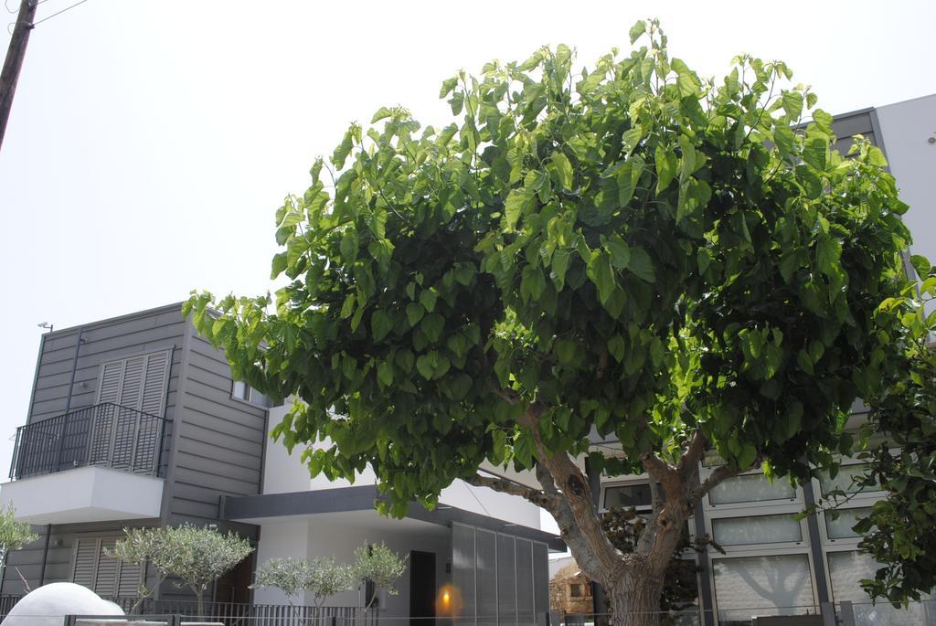 Agnanti Apartments Argaka Luaran gambar